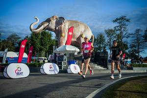 BIB: 
                            <button type="button" onclick="openModal(26541683)" class="btn btn-primary btn-sm float-right btn-popup" data-toggle="modal" data-target=".modal-high-quality">
                        <i class="fas fa-shopping-cart"></i> Add to Cart
                    </button>
                                            <button type="button" onclick="isThisMe(26541683, true)" class="btn btn-success btn-sm float-right btn-popup btn-isme hidden" data-toggle="tooltip" data-placement="bottom" title="นี่คือรูปของคุณใช่ไหม คลิกที่นี่เพื่อเอาเข้าอัลบั้ม">
                        <i class="fas fa-plus"></i> Add to album
                    </button>
                    <button type="button" onclick="isThisMe(26541683, false)" class="btn btn-warning btn-sm float-right btn-popup btn-isnotme hidden">
                        <i class="fas fa-ban"></i> Remove from album
                    </button>